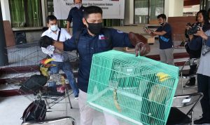 Capture 2020-06-10 23.09.45