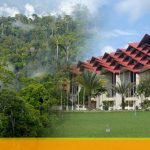 WhatsApp Image 2020-11-26 at 21.34.51