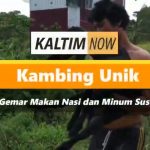 Screenshot_20210110-211057_YouTube