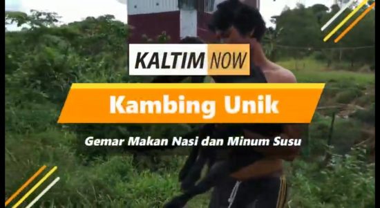 Screenshot_20210110-211057_YouTube