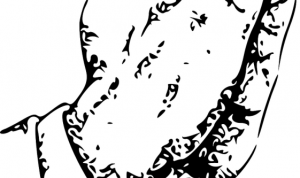 Gambar ilustrasi : Tangan berdoa. Sumber : int.