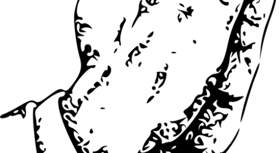 Gambar ilustrasi : Tangan berdoa. Sumber : int.