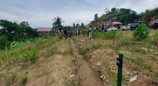 Foto Ilustrasi : Perkebunan. Sumber Foto : Istimewa.