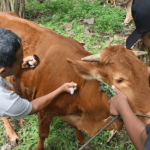 Format Upload Foto Web (4)-min