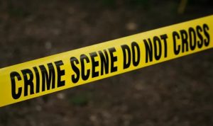 WhatsApp Image 2023-12-29 at 11.38.22_37f9a474