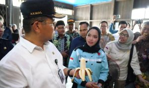 Pj Gubernur Kaltim Akmal Malik Dorong Keberhasilan Ekspor Produk Pisang Selangkau