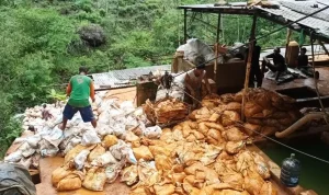 Foto : aktivitas pertambangan PT Gemilang Limpah Internusa (GLI) Pacitan. Sumber : Istimewa