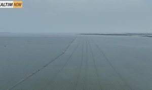 Foto : Pagar Laut di Perairan Tanggerang. Sumber Foto : Istimewa.