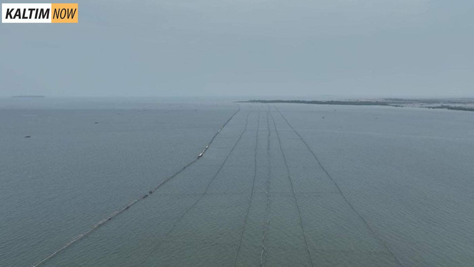 Foto : Pagar Laut di Perairan Tanggerang. Sumber Foto : Istimewa.