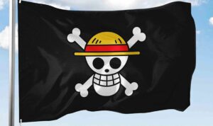 Foto: Bendera bajak laut khas anime One Piece. Sumber: Istimewa.