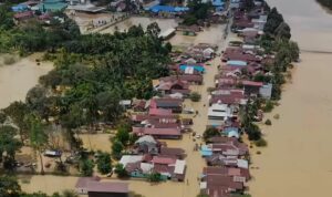 Foto: Banjir Meluas di Muara Wahau, Tujuh Desa Terendam dan Ketinggian Air Terus Naik. Sumber: Istimewa.
