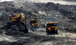 Foto: Aktivitas tambang batu bara. Sumber: Istimewa.