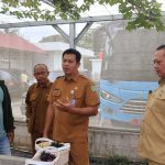 Foto: Sekretaris Dinas Pendidikan dan Kebudayaan (Disdikbud) Provinsi Kalimantan Timur, Rahmat Ramadhan dan Plt UPTD Museum Negeri Mulawarman Sugiyoni Ideal dan jajaran lakukan panen perdana buah anggur. Sumber: Istimewa.