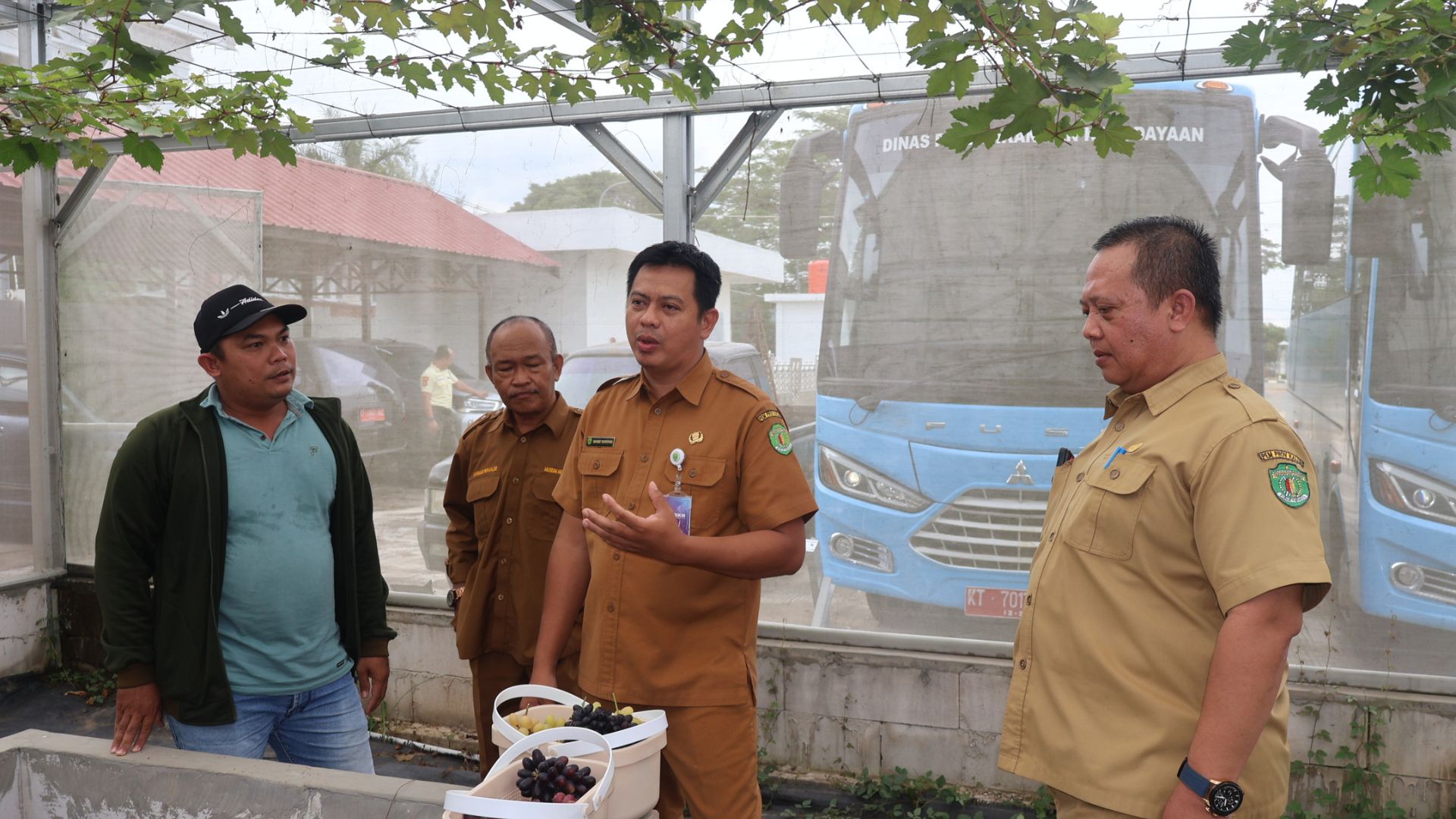 Foto: Sekretaris Dinas Pendidikan dan Kebudayaan (Disdikbud) Provinsi Kalimantan Timur, Rahmat Ramadhan dan Plt UPTD Museum Negeri Mulawarman Sugiyoni Ideal dan jajaran lakukan panen perdana buah anggur. Sumber: Istimewa.